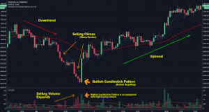 Buying Climax, Bull Climax